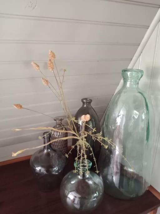 Micro Maison Isba Sedan Givonne Экстерьер фото